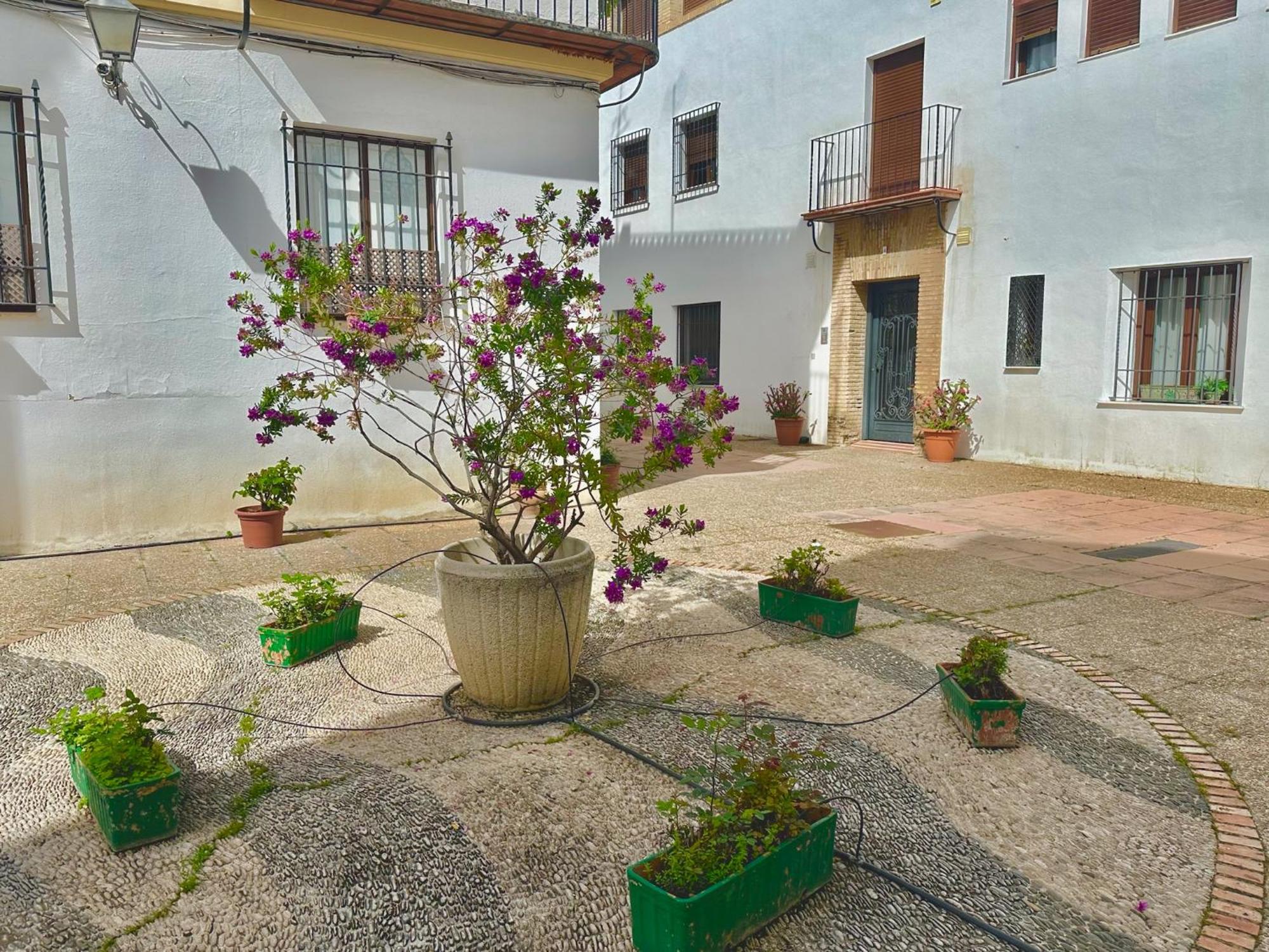 Orive House Apartment Córdoba Exterior foto